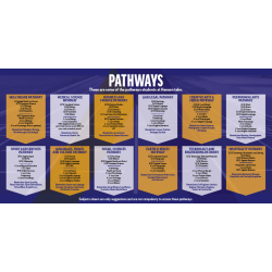 Careers pathways. ID 20773