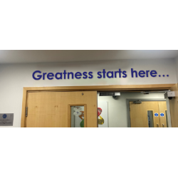 Foamex cad-cut letters. ID 22406