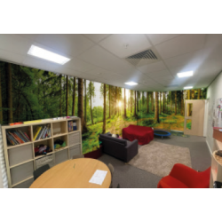 Nursery, library wallpaper, trees. ID 22018 a